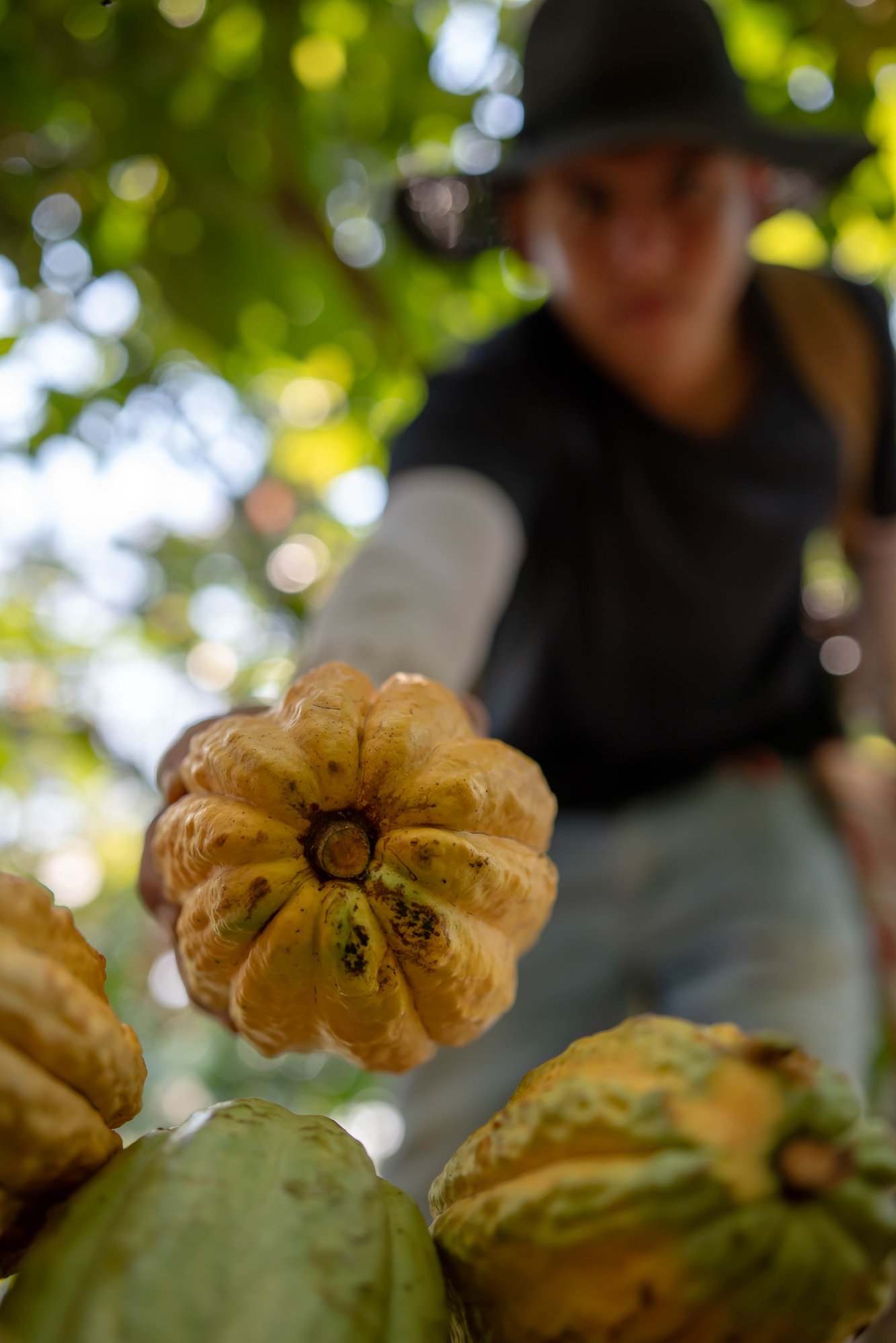 AdobeStock_330980546