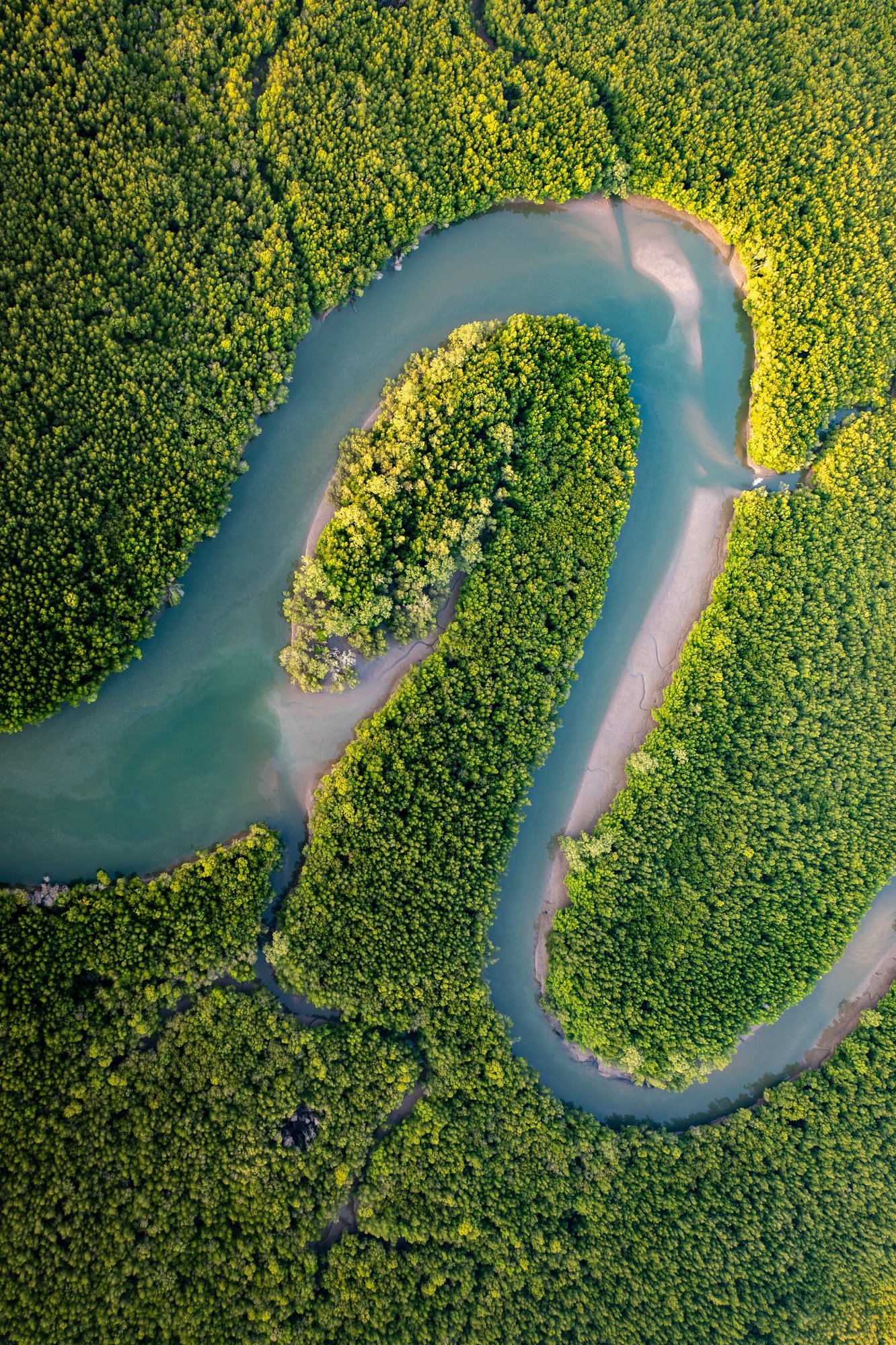 AdobeStock_537193908 AdobeStock_537193908